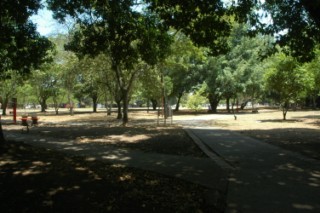 Le parc de la Flora