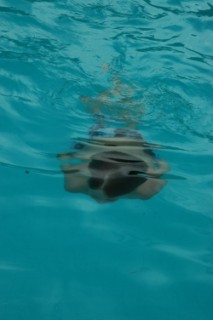 Colombie 020 [320x200]