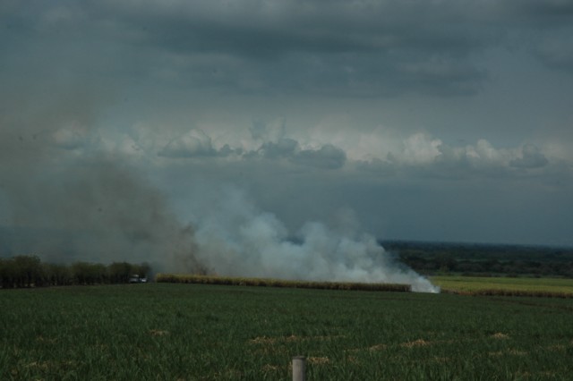 Nirvana 002 [640x480]