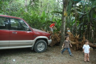 Nirvana 007 [320x200]