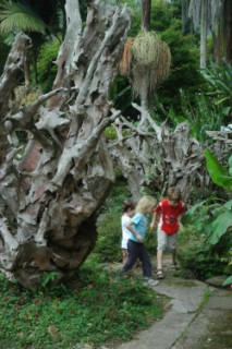 Nirvana 014 [320x200]