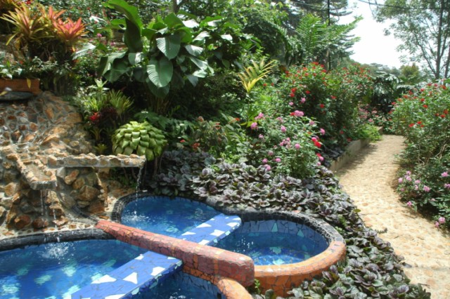 Nirvana 022 [640x480]