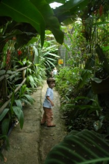 Nirvana 031 [320x200]