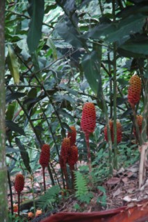 Nirvana 037 [320x200]