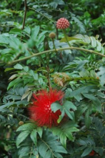 Nirvana 039 [320x200]