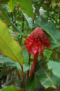 Nirvana 048 [320x200]