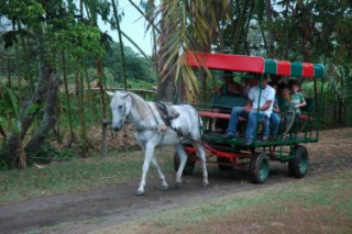 Photo  157 [320x200]