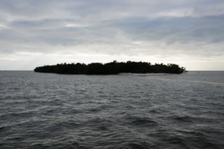 Everglades 290 [320x200]