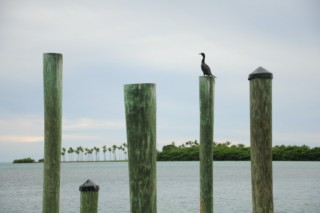 miami3 023 [320x200]