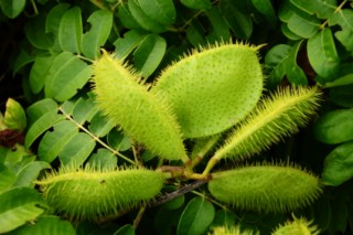 miami3 091 [320x200]