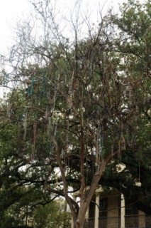 NOLA 1110 013 [320x200]