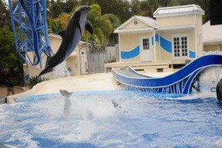 Seaworld 193 [320x200]