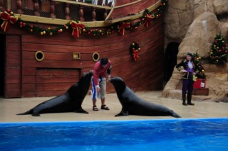 Seaworld 220 [320x200]