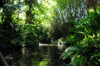 dinsey magic 084 [320x200]