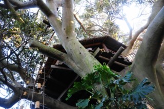 dinsey magic 140 [320x200]