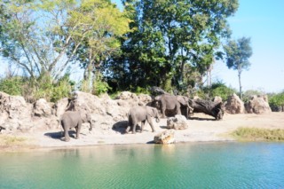 disney animal 049 [320x200]