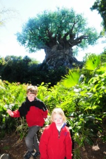 disney animal 071 [320x200]