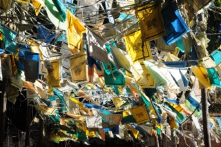 disney animal 106 [320x200]