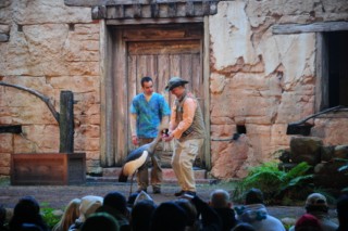 disneyanimal127[320x200]