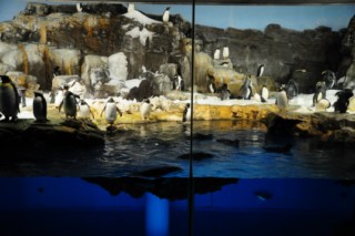 seaworld2 047 [320x200]