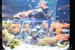 seaworld2 118 [320x200]