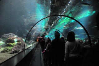 seaworld2 251 [320x200]