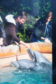 seaworld2 260 [320x200]