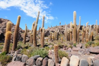 Bolivie 252 [320x200]