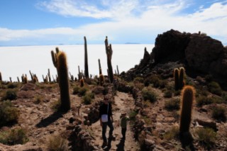 Bolivie 260 [320x200]