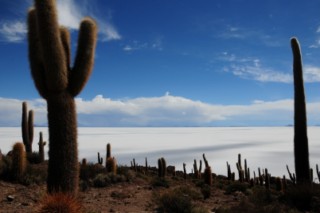 Bolivie 274 [320x200]