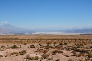 Bolivie 356 [320x200]