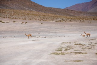 Bolivie 502 [320x200]