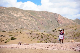 Bolivie 1086 [320x200]