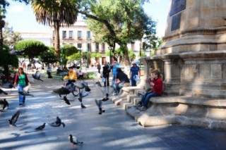 Bolivie 1286 [320x200]