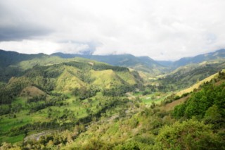 salento 038 [320x200]