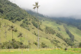 salento 080 [320x200]