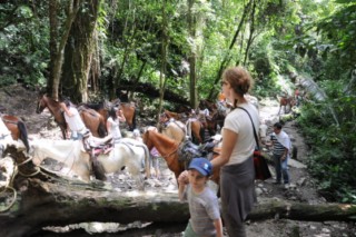 salento 152 [320x200]