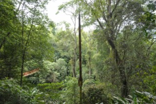 salento 290 [320x200]