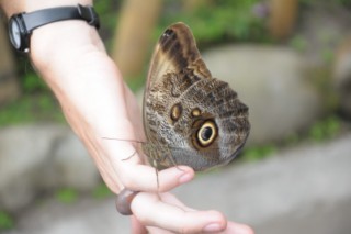 salento 354 [320x200]