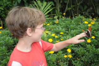 salento 361 [320x200]