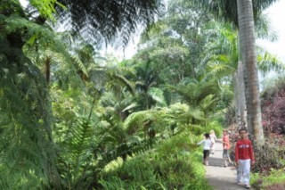 salento 393 [320x200]