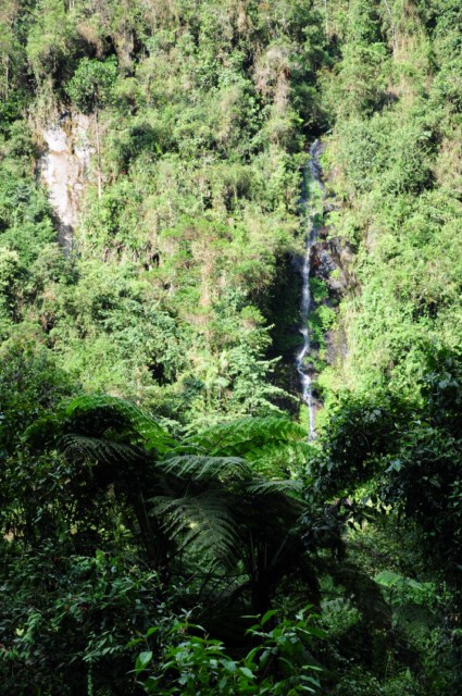 Manizales 089 [640x480]