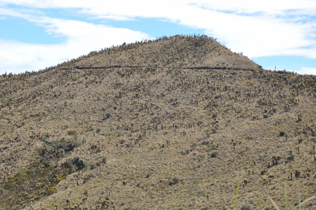 Manizales 175 [640x480]