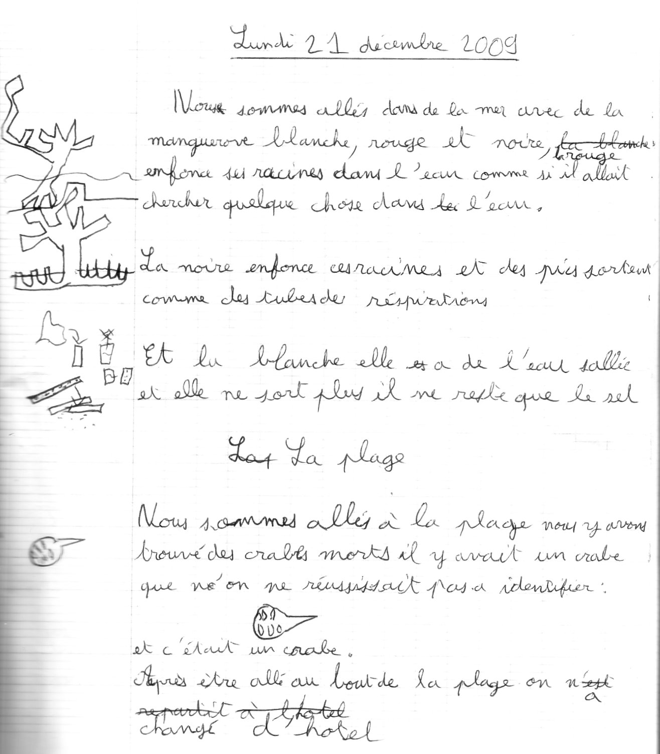 Image6