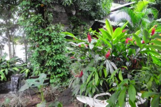 Panama 089 [320x200]