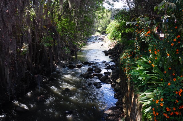 raqira 225 [640x480]