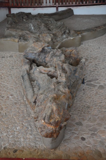 raqira 264 [640x480]