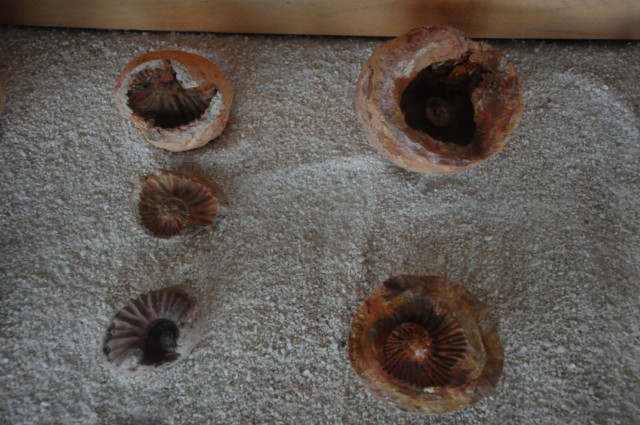 raqira 265 [640x480]