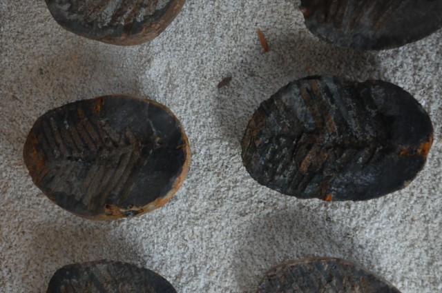 raqira 272 [640x480]