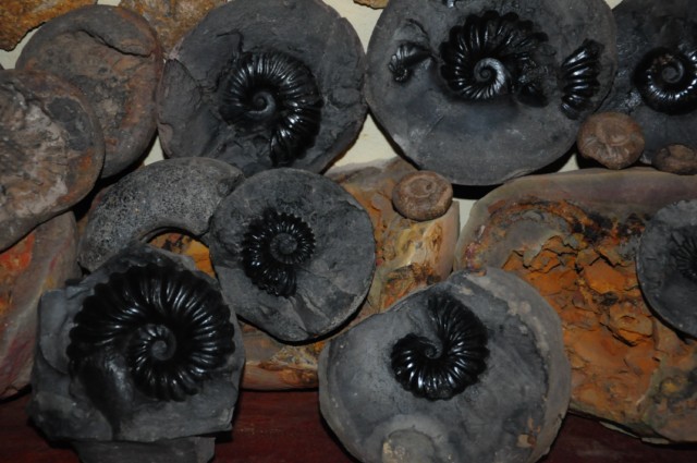 raqira 279 [640x480]